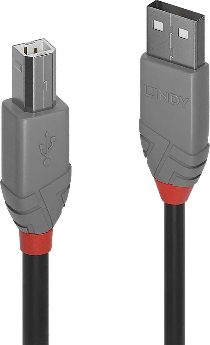 Lindy USB A/M