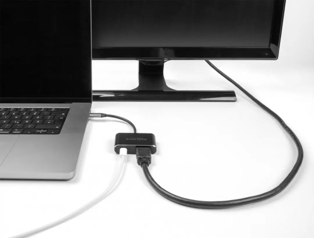 Delock USB-C naar HDMI Adapter 8K HDR - 100W - Zwart