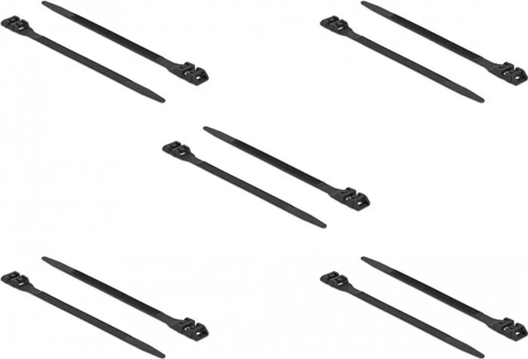 Delock Kabelbinders 250x9mm - 10 Stuks