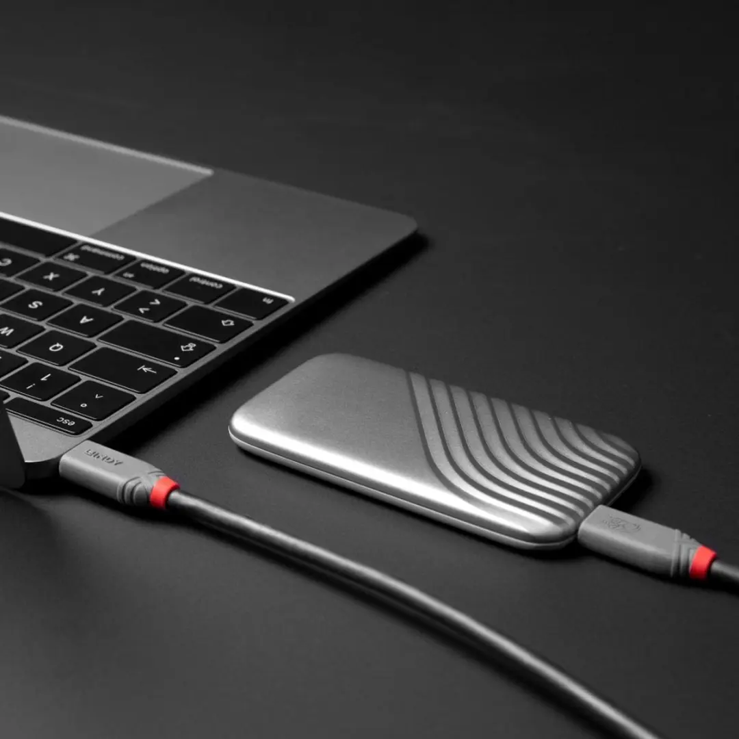 Lindy USB4 Gen 3x2 36957 USB-kabel 1,5m - Zwart