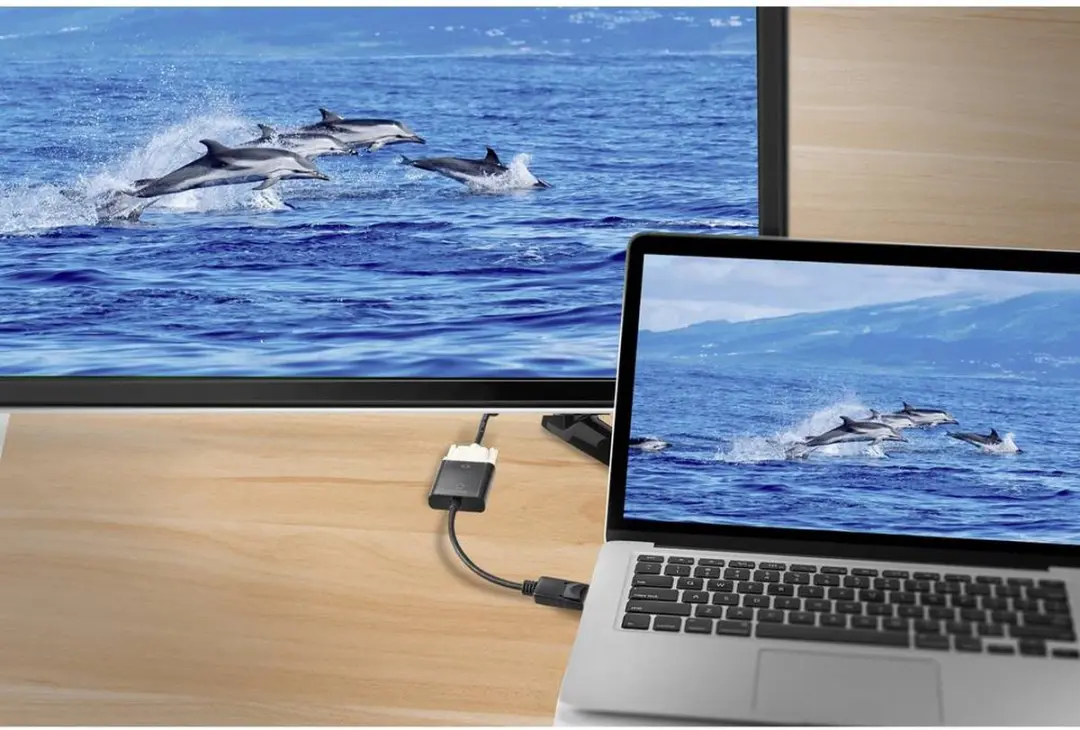 Renkforce RF-5771774 DisplayPort naar DVI Adapter - Zwart