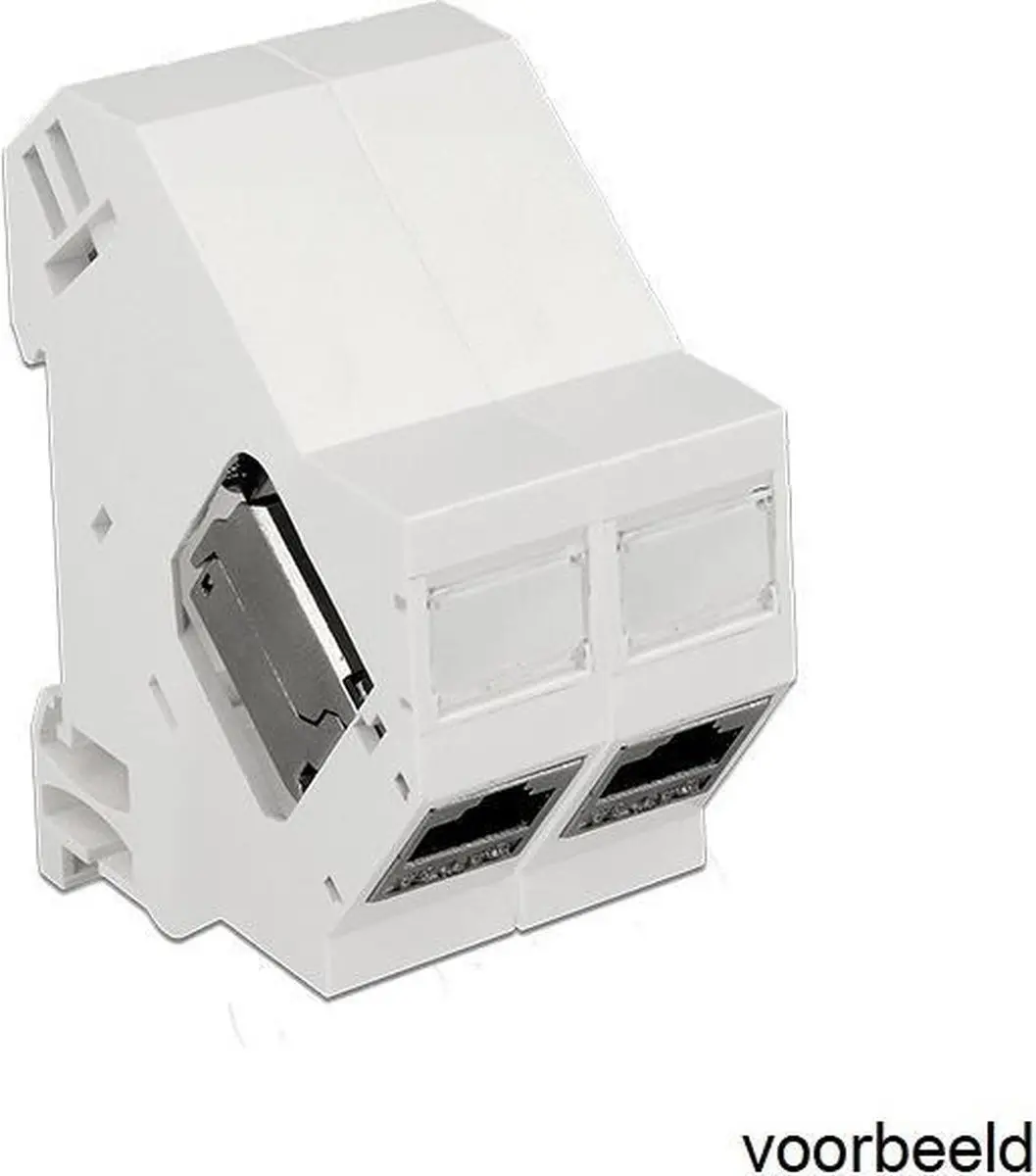Delock DIN-Rail Houder 1 Keystone Module - Wit