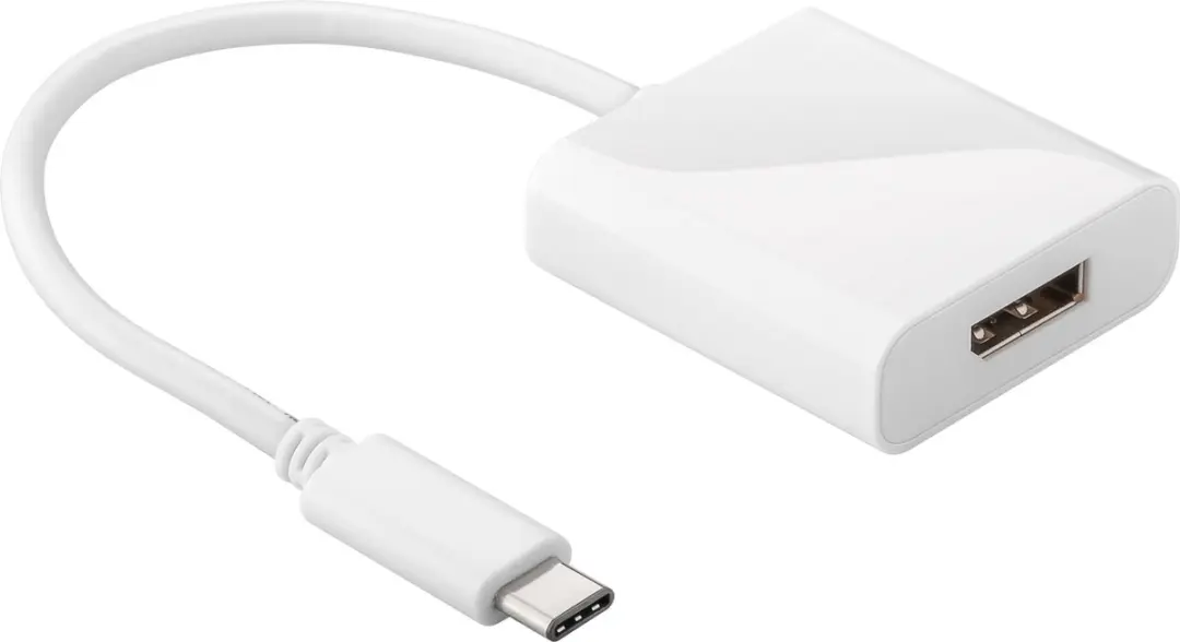 Goobay USB-C naar DisplayPort Adapter 4K60