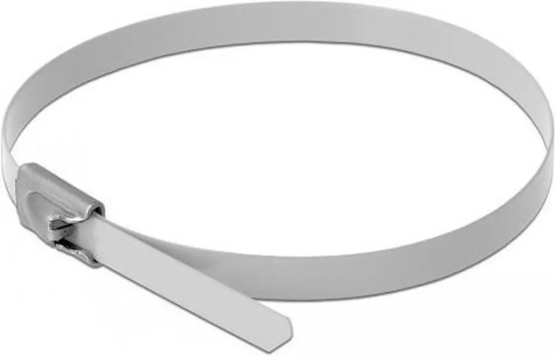 Delock Roestvrijstalen Kabelbinders 300x4.6mm - Wit - 10 Stuks