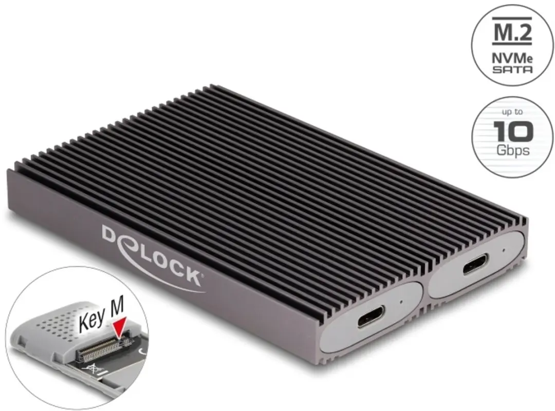 Delock Dual Combo M.2 NVMe/SATA Behuizing