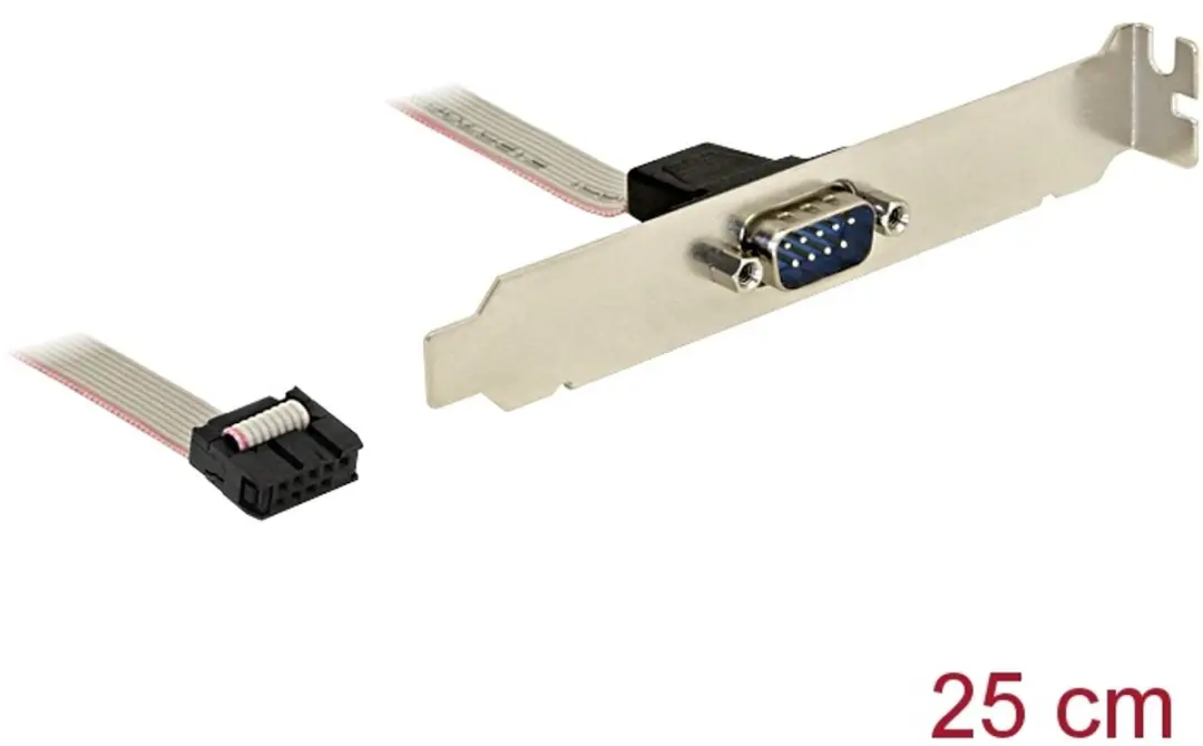 Delock Slot Bracket