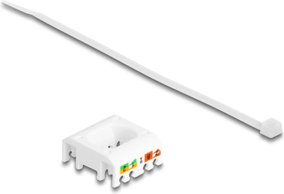 Delock Keystone Module RJ45 LSA Cat.6A - Zilver/Wit