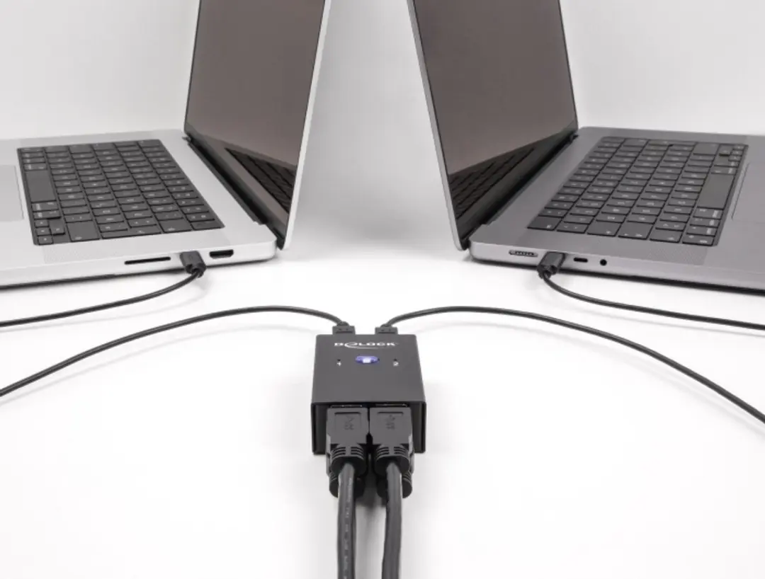 Delock USB 2.0 Switch 2 PC to 4 devices