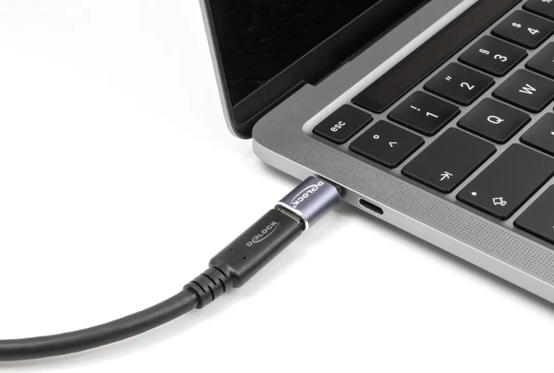 Delock USB-C Poortbeschermer USB4 40Gbps PD 240W - 8K 60Hz Grijs