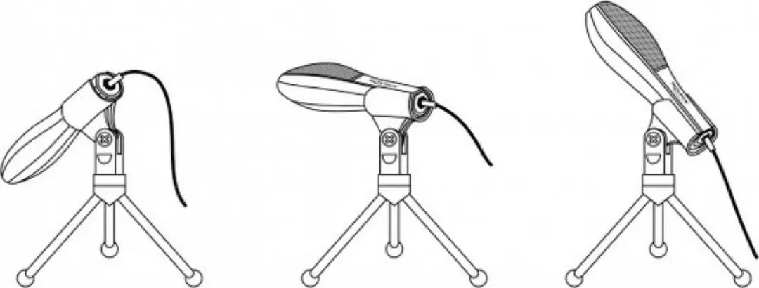 Delock REC0014272-000 USB Condensor Microfoon - Zwart