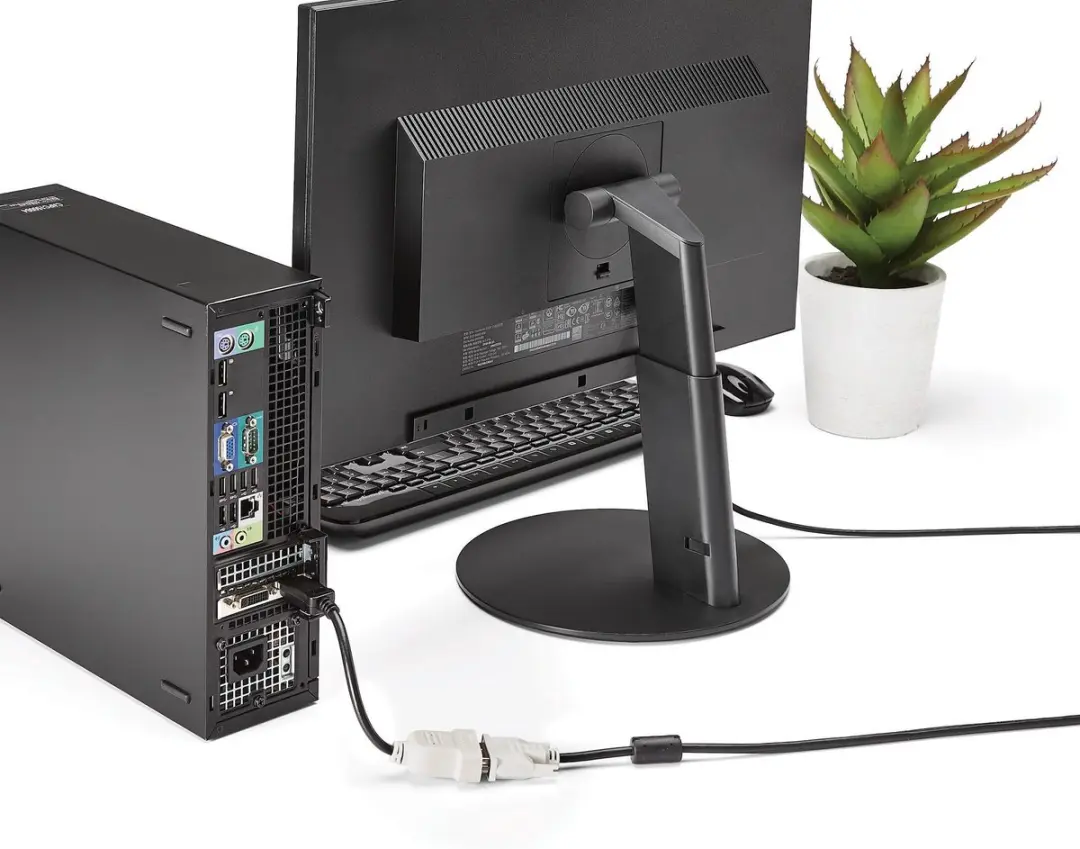 Startech DP2DVI DisplayPort naar DVI Adapter - Zwart