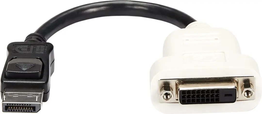 Startech DP2DVI DisplayPort naar DVI Adapter