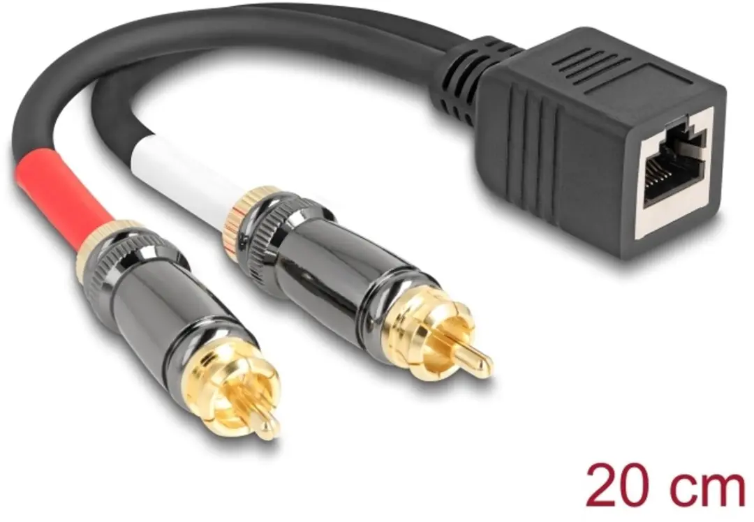 Delock RJ45 naar 2x RCA Adapterkabel