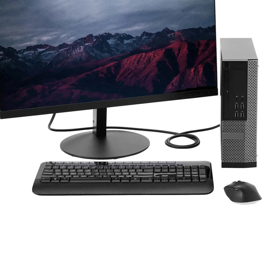 Startech DisplayPort 1.2 Kabel 50cm