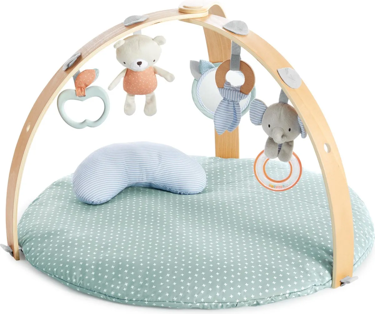 Bright Starts Ingenuity Speelkleed Multicolor - 5 Speelelementen