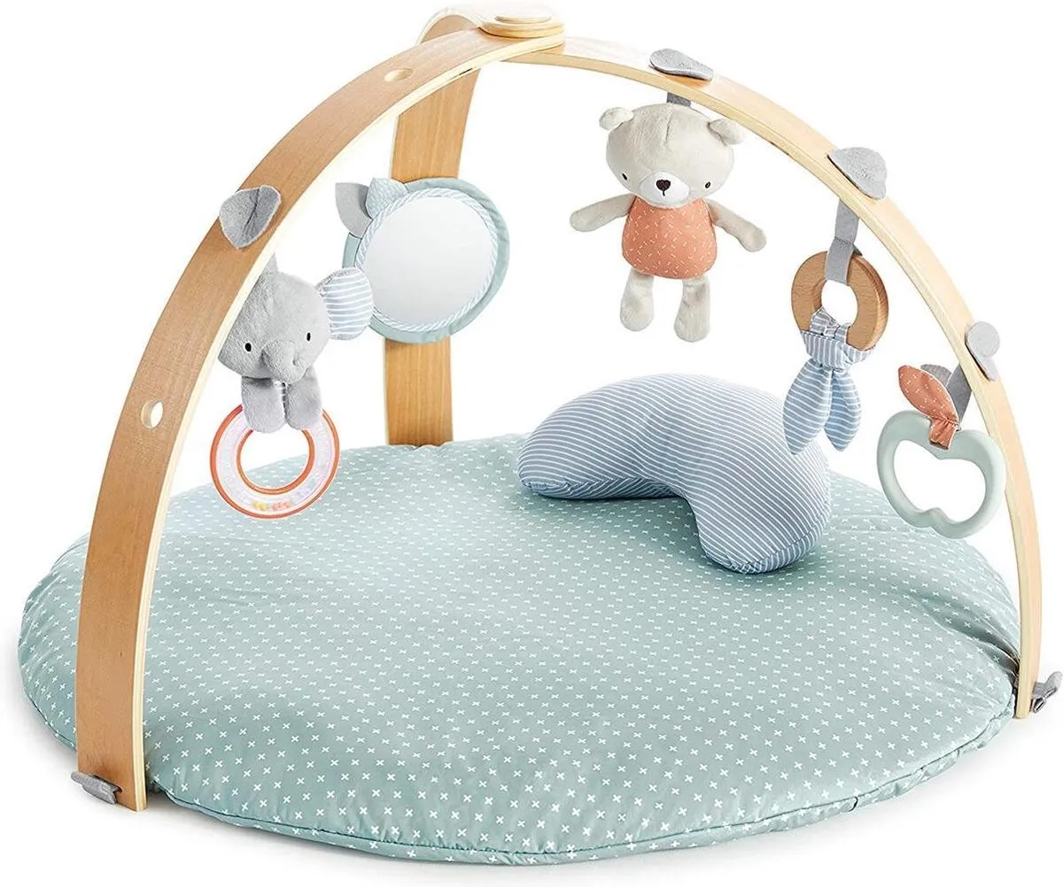 Bright Starts Ingenuity Speelkleed Multicolor - 5 Speelelementen