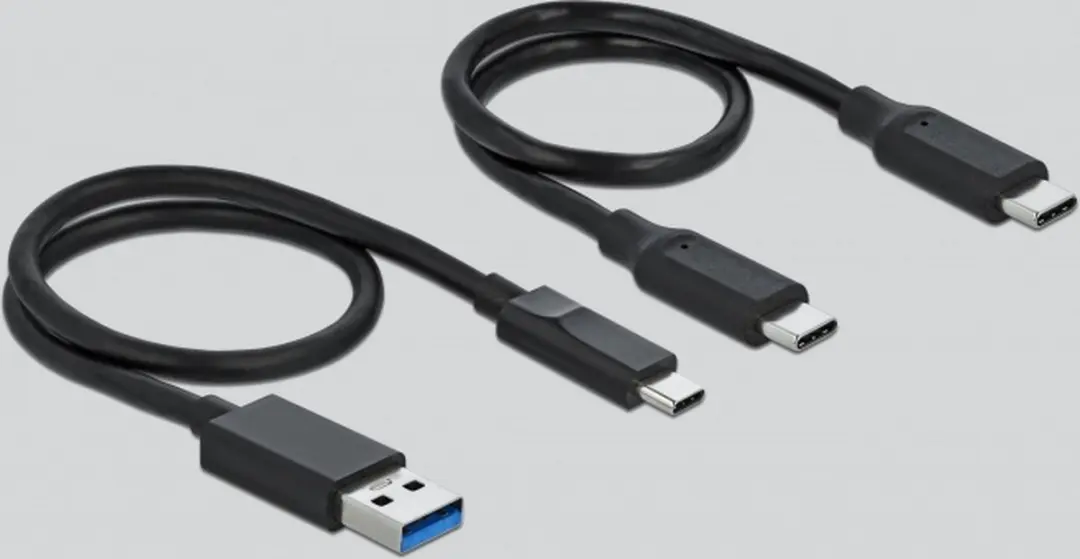 Delock 91754 USB-C Kaartlezer CFast/SD - Grijs