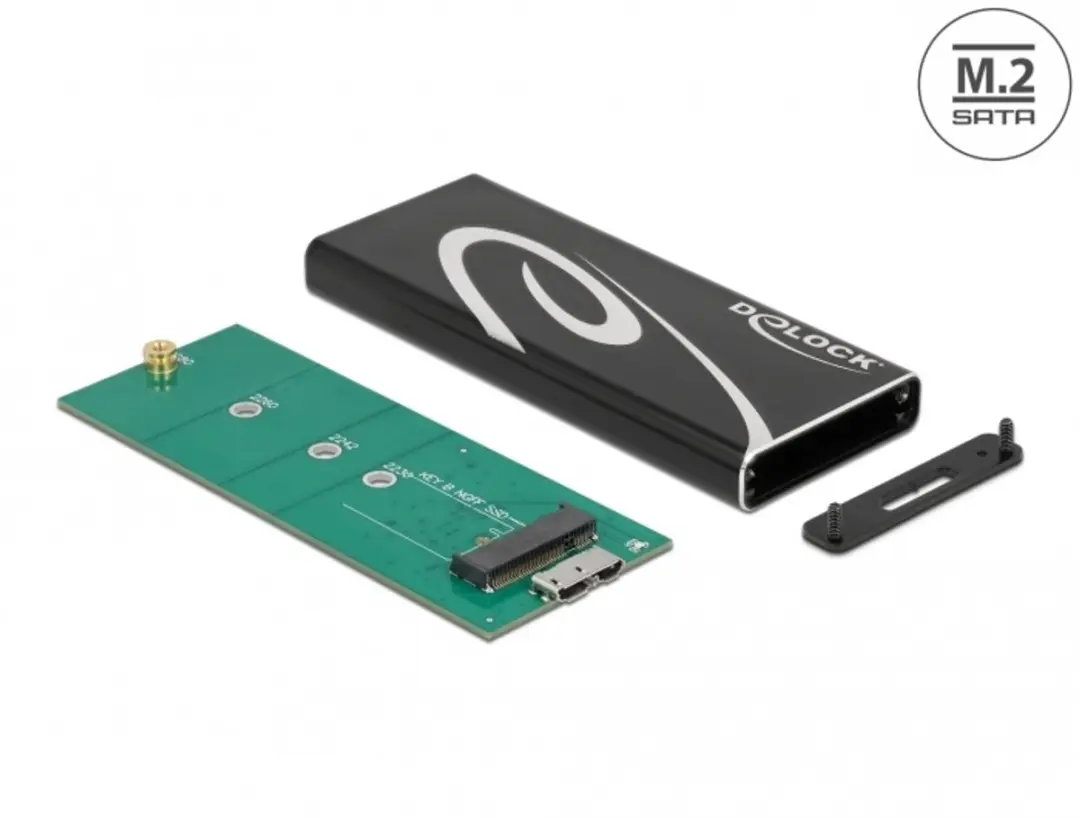 Delock M.2 SATA SSD Behuizing SuperSpeed USB