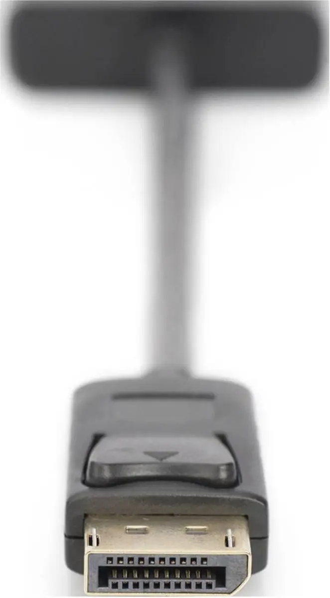 Digitus DisplayPort naar DVI-I Kabel 0.15m - Zwart - afbeelding 6 van 6