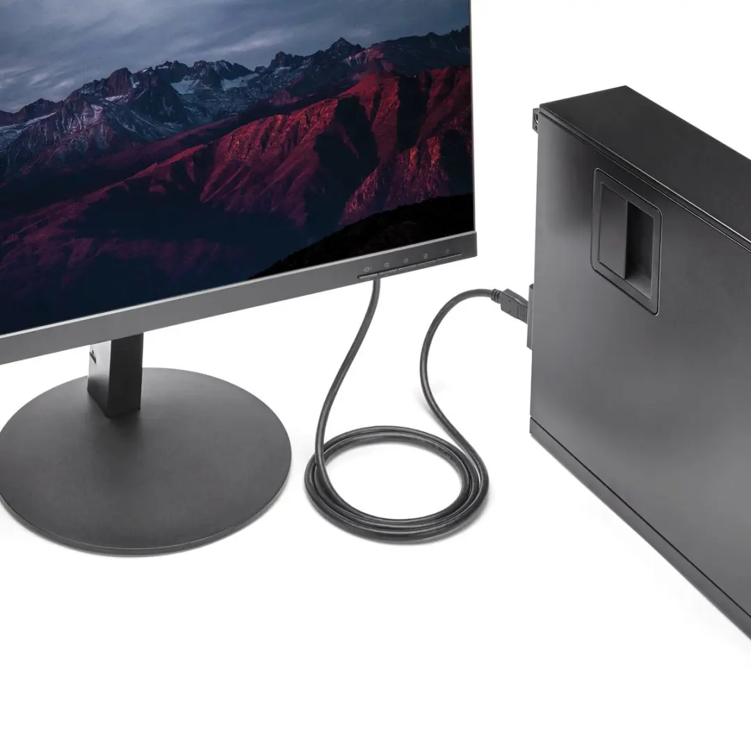 Startech DP2DVIMM6 DisplayPort naar DVI Adapter - 1,8 m - Zwart