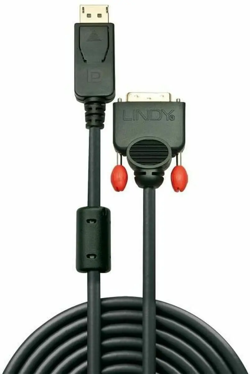 Lindy DisplayPort naar DVI Adapter 41490