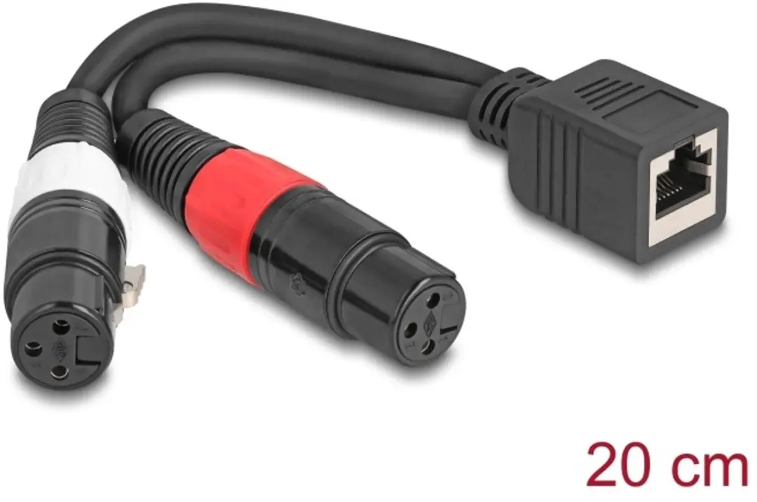 Delock RJ45 naar 2x XLR 3-pin Adapterkabel 20cm