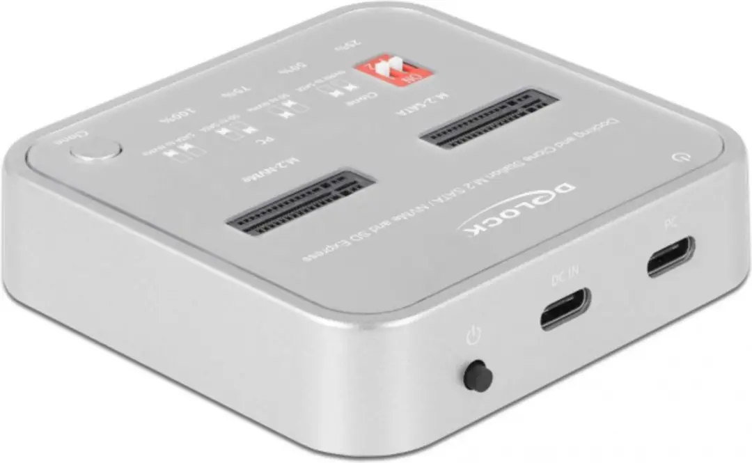 Delock 64138 Docking Station M.2 NVMe/SATA