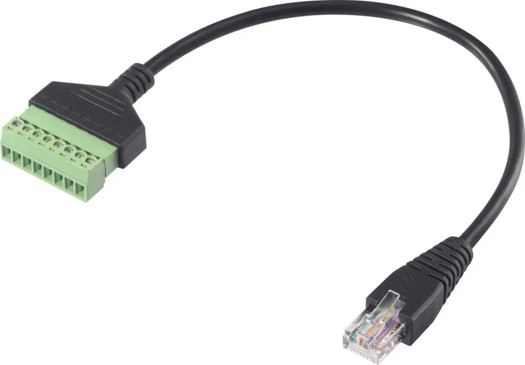 Renkforce RJ45 Netwerk Adapterkabel 30cm