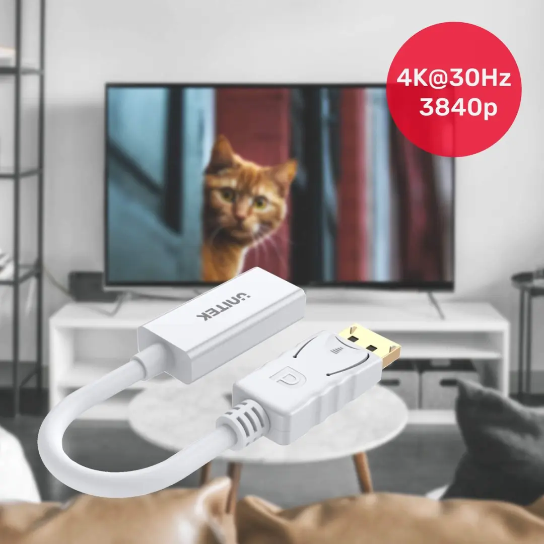 Unitek DisplayPort naar HDMI-adapter 4K - Wit