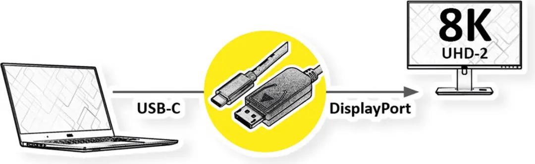 Roline USB-C naar DisplayPort Adapterkabel 1.4 M/M 2m - Zwart