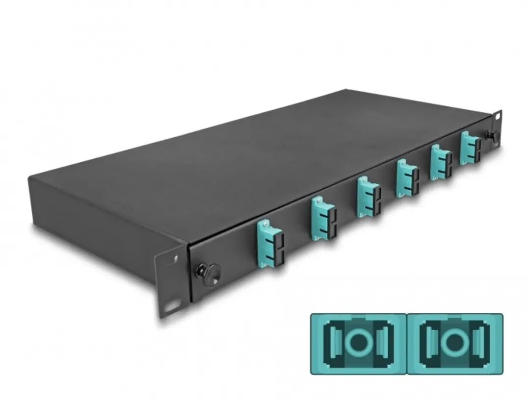 Delock 19" Optische Fiber Splice Box 6x SC Duplex OM3