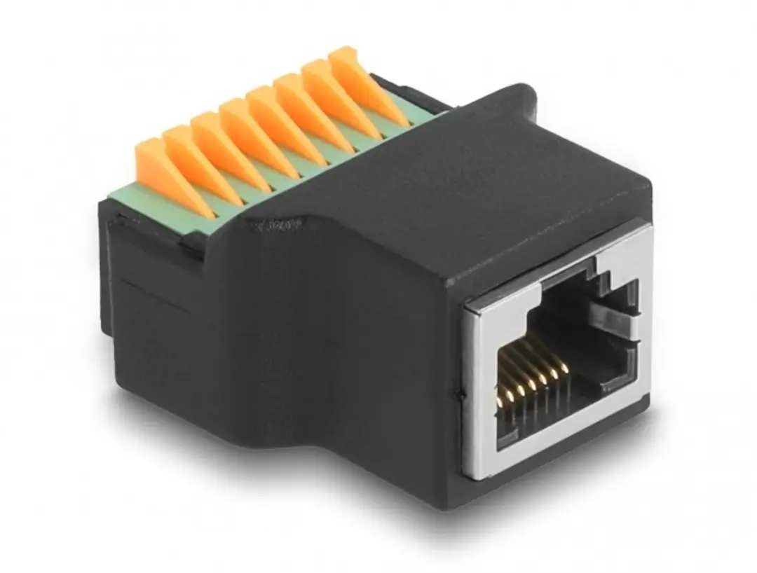 Delock RJ45 Vrouw-naar-Schroefklemadapter