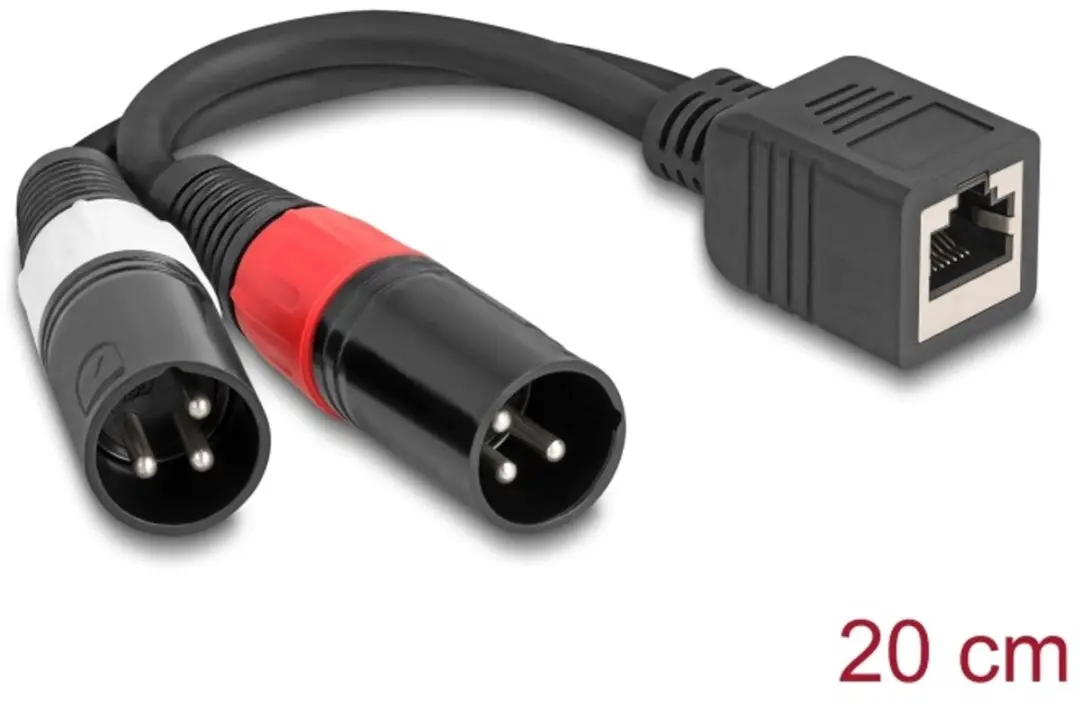 Delock RJ45 naar 2x XLR 3-pin Adapterkabel 20cm