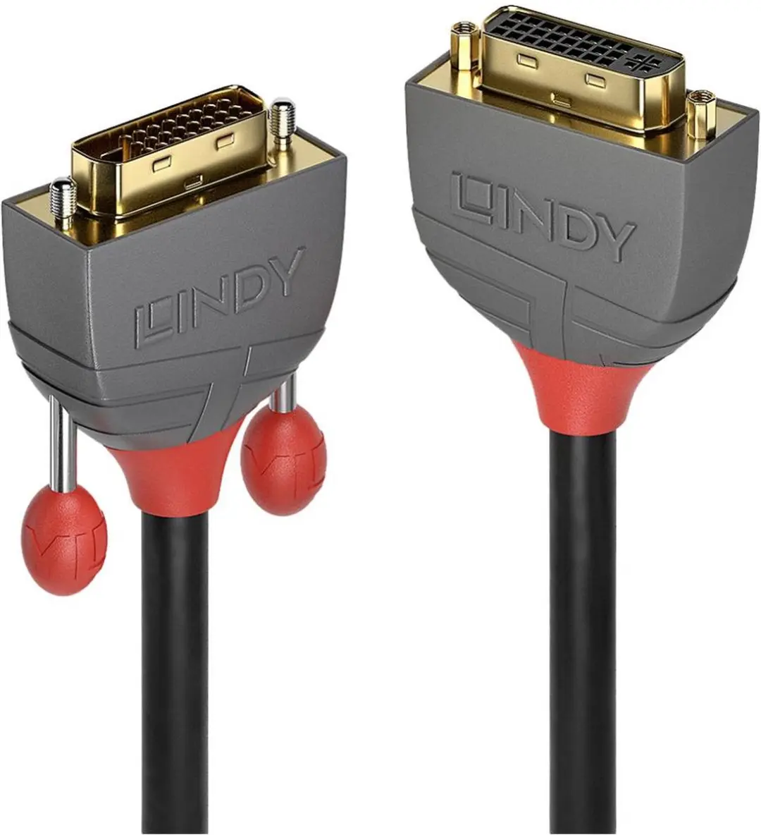 Lindy DVI-kabel 24+1 naar 24+5 2m - Zwart