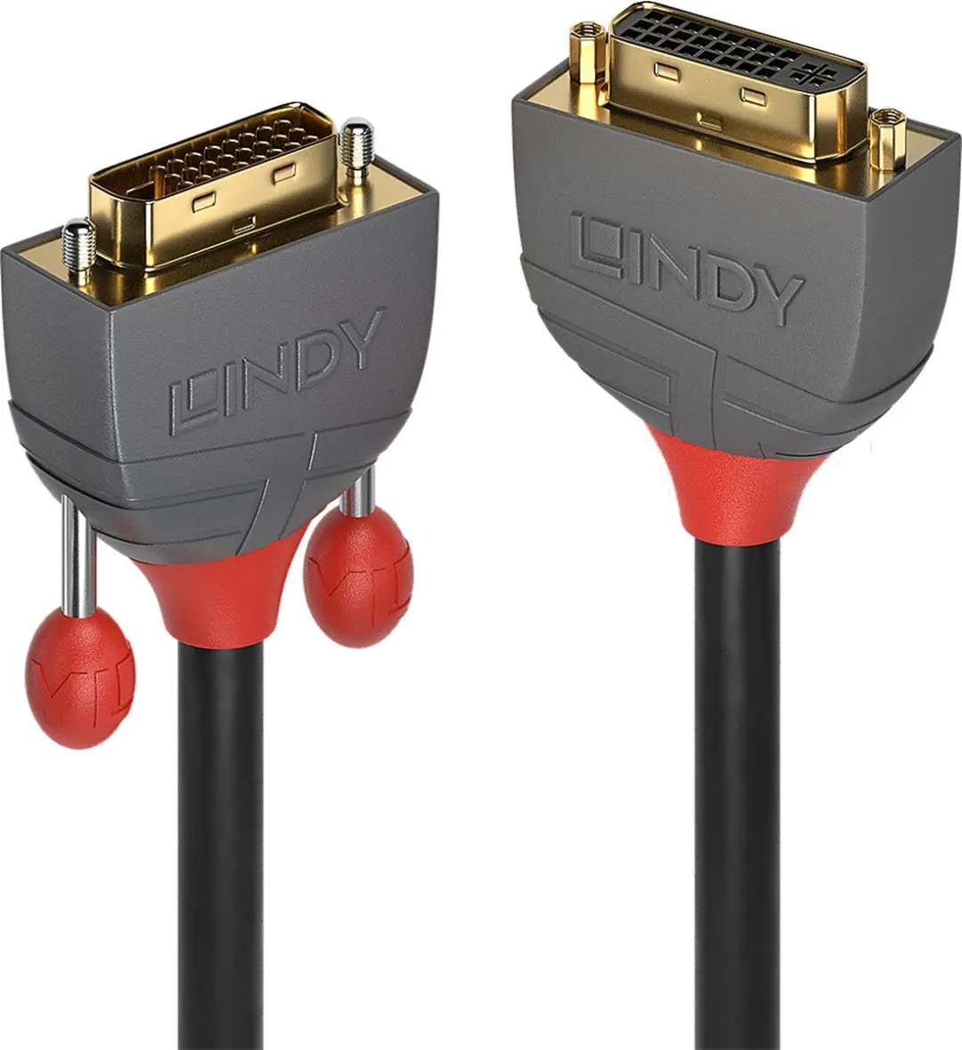 Lindy DVI-kabel 24+1 naar 24+5 2m - Zwart