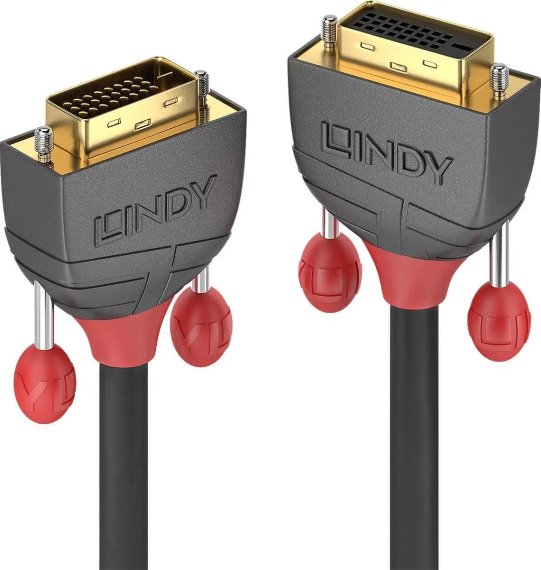 Lindy DVI-kabel 24+1 naar 24+5 2m