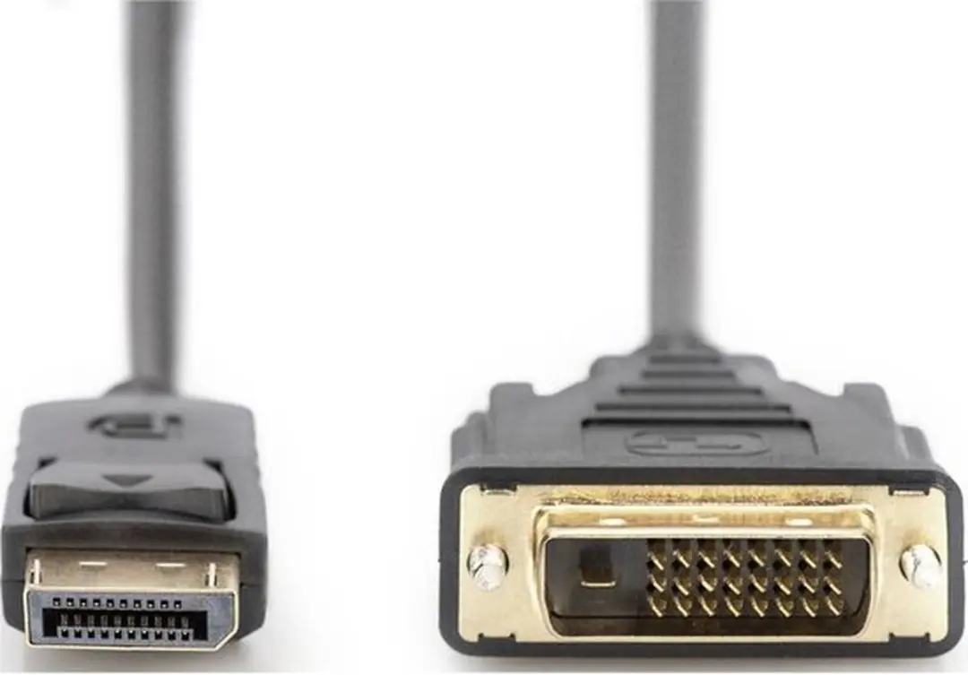 Digitus AK-340306-020-S DisplayPort naar DVI-D Adapterkabel - Zwart - afbeelding 6 van 6