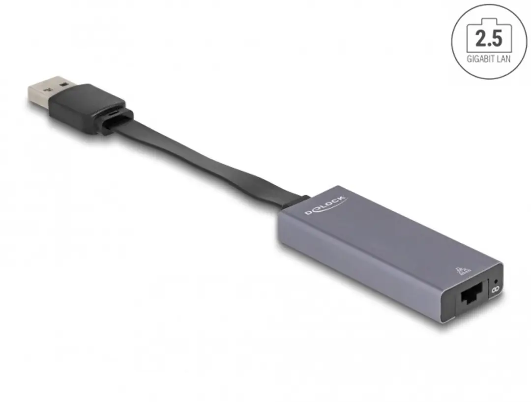 Delock USB Type-A naar 2.5G LAN Adapter