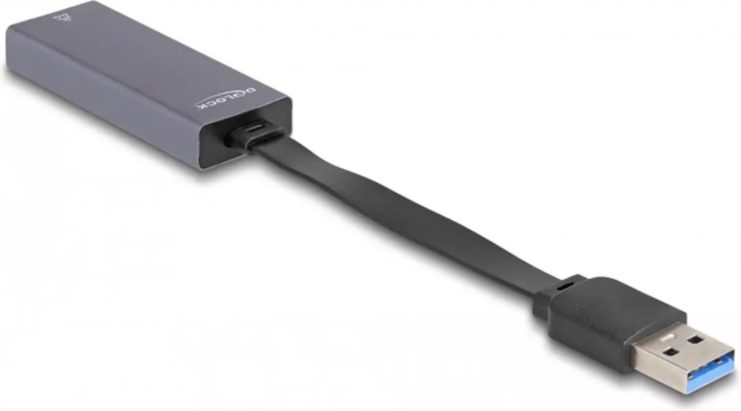 Delock USB Type-A naar 2.5G LAN Adapter - Grijs