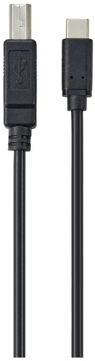 Renkforce RF-5720420 USB 2.0 Kabel USB-C naar USB-B 2m - Zwart