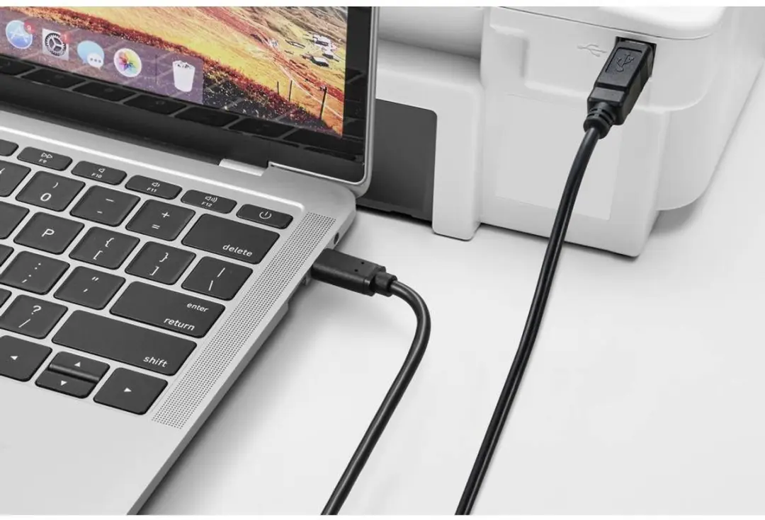 Renkforce RF-5720420 USB 2.0 Kabel USB-C naar USB-B 2m - Zwart