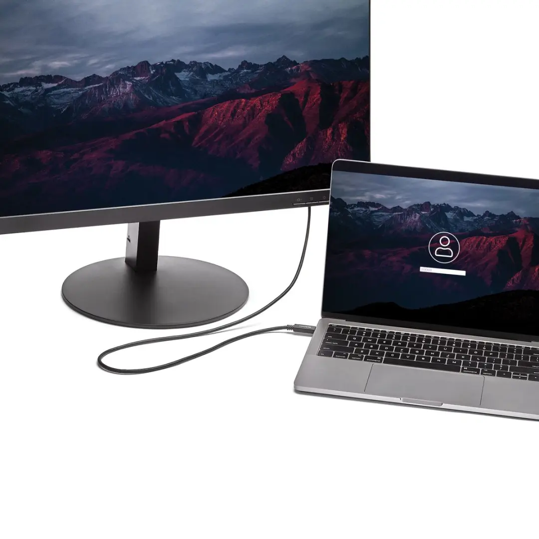 Startech USB-C naar DVI Adapterkabel 2m - 1920x1200 - Zwart