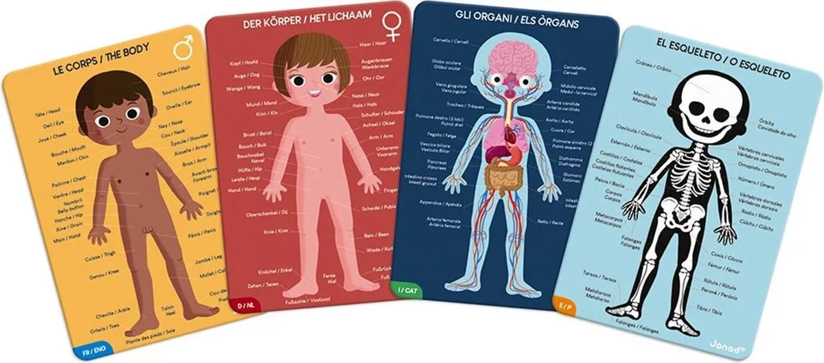 Janod Het Menselijk Lichaam Educatieve Puzzel 225 Stuks - 4x50-100 Stuks - afbeelding 6 van 6