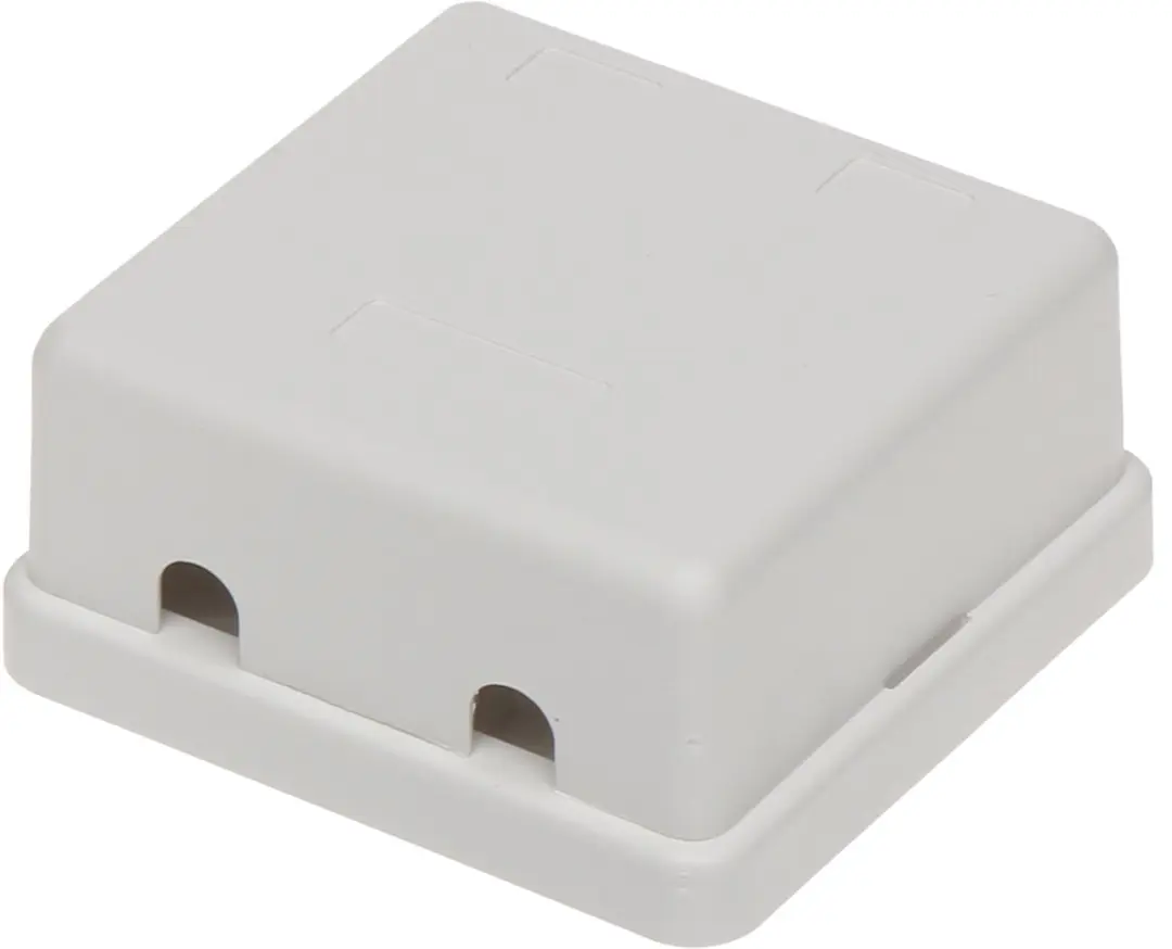 Delock Uitvoerdoos 2x Keystone Wit