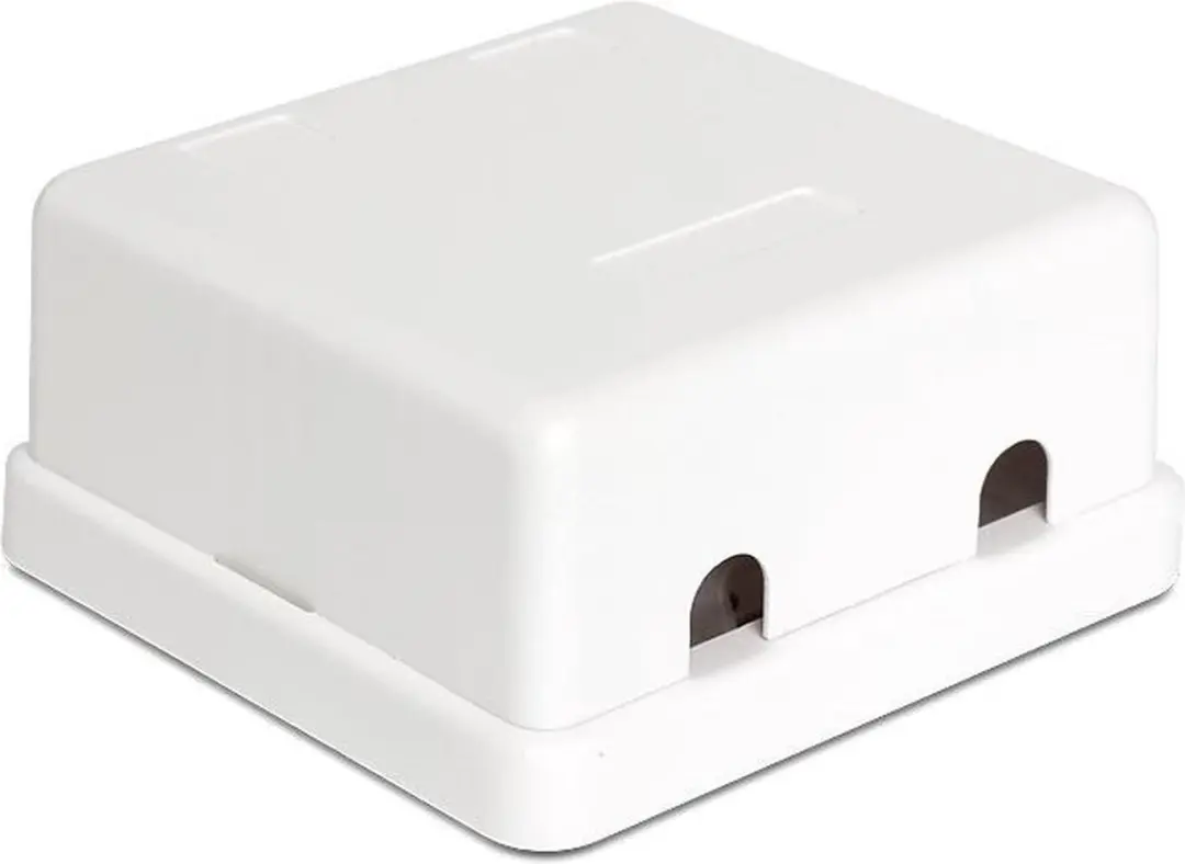 Delock Uitvoerdoos 2x Keystone Wit