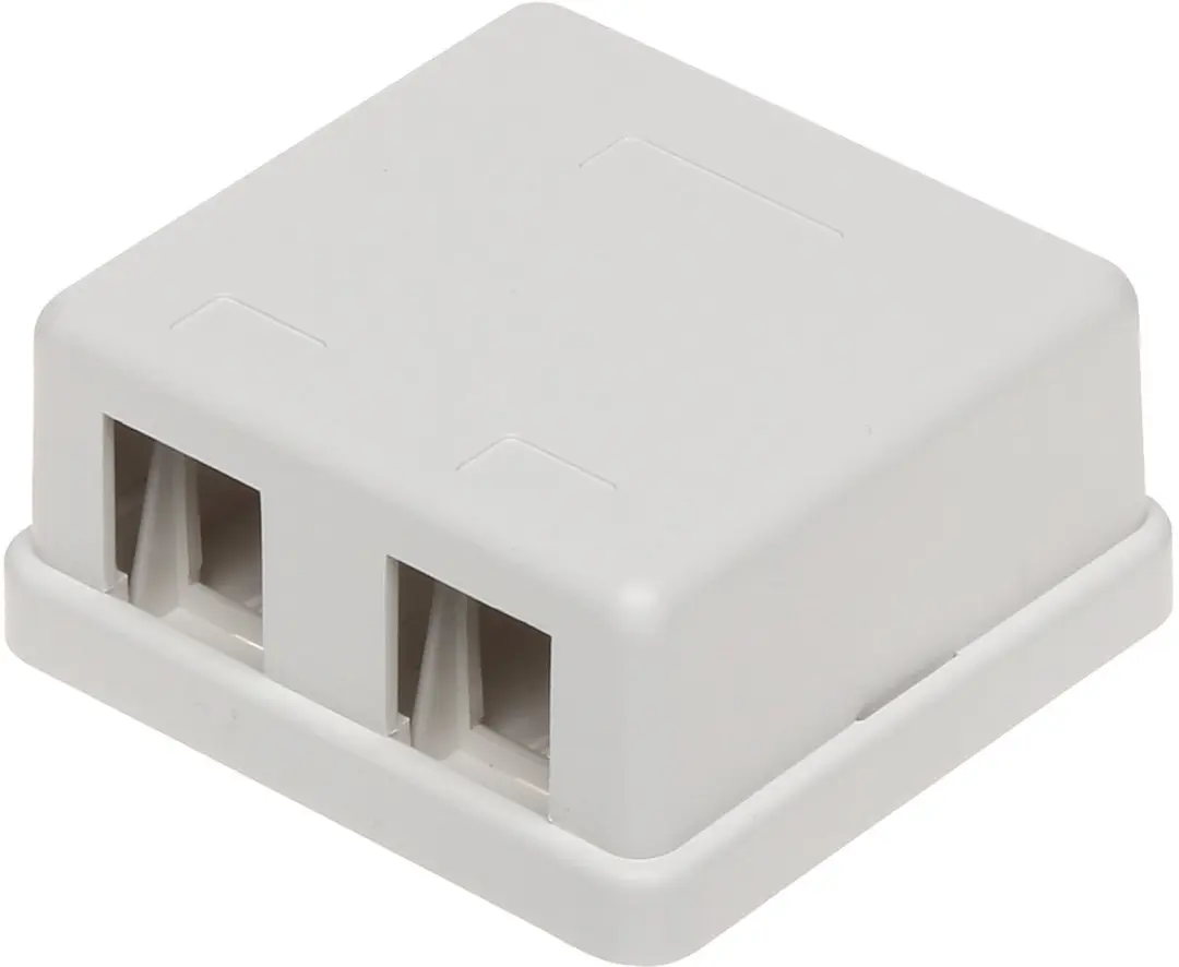 Delock Uitvoerdoos 2x Keystone Wit