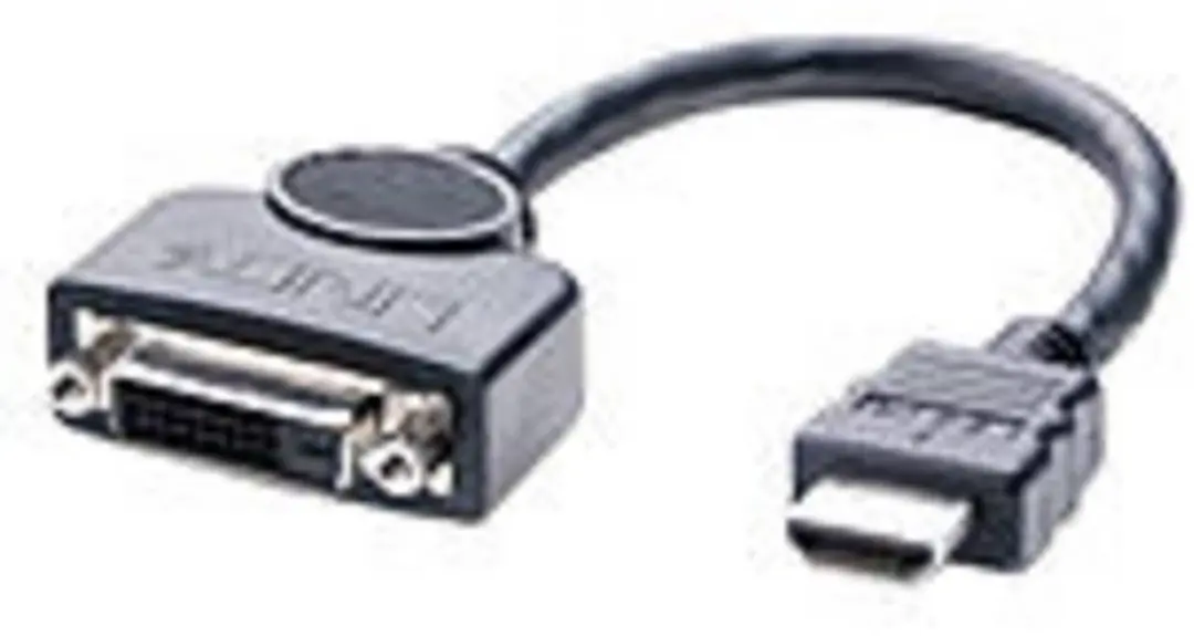 Lindy HDMI naar DVI-D Videoadapter 20cm - Zwart