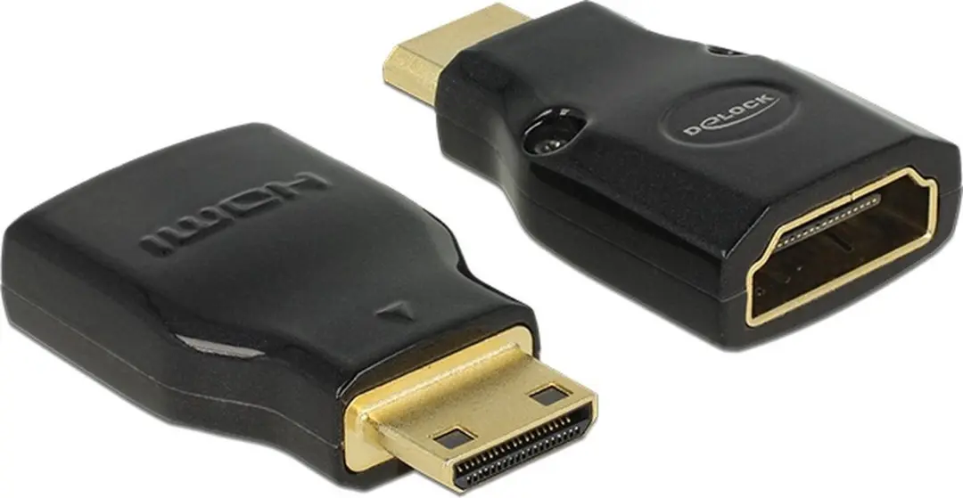 Delock Mini HDMI naar HDMI Adapter 2.0
