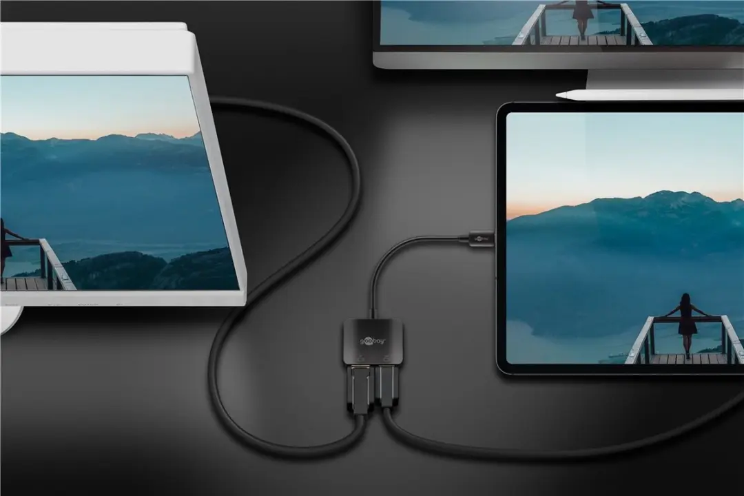 Goobay USB-C naar DisplayPort/HDMI 4K 60Hz Adapter - 10 Stuks