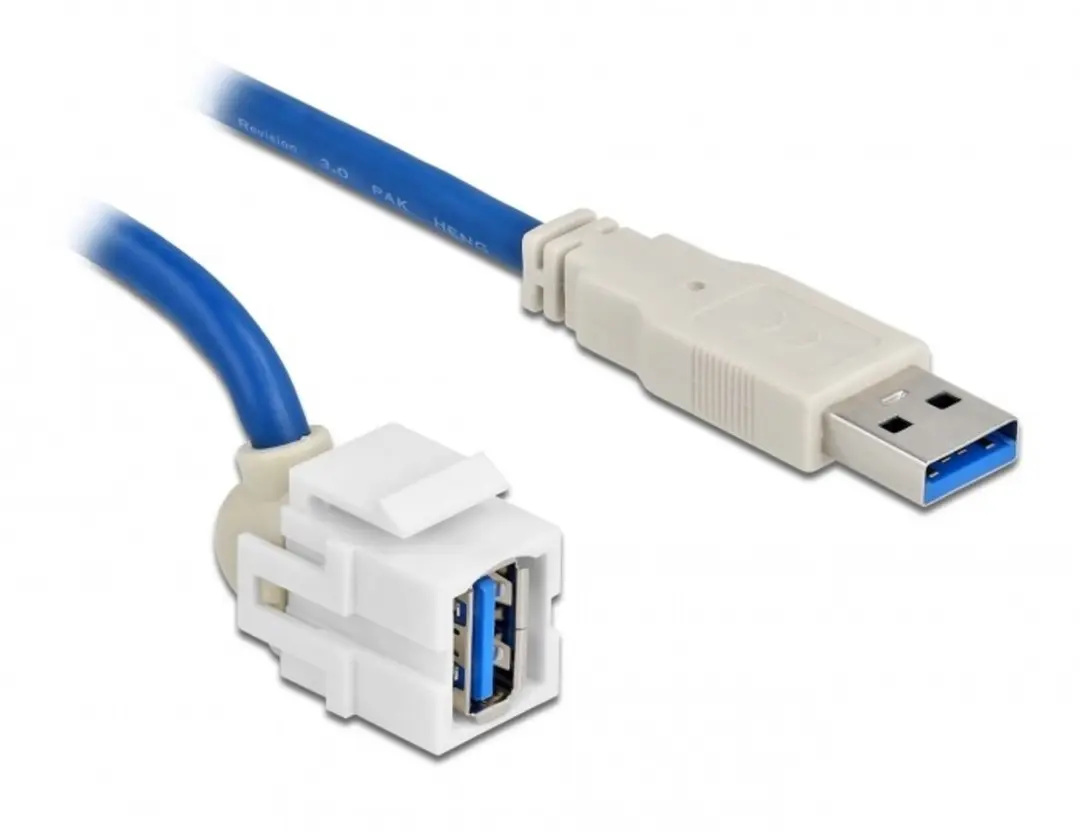 Delock USB-A Haaks Keystone Module 5Gbps